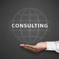 IT Consultancy